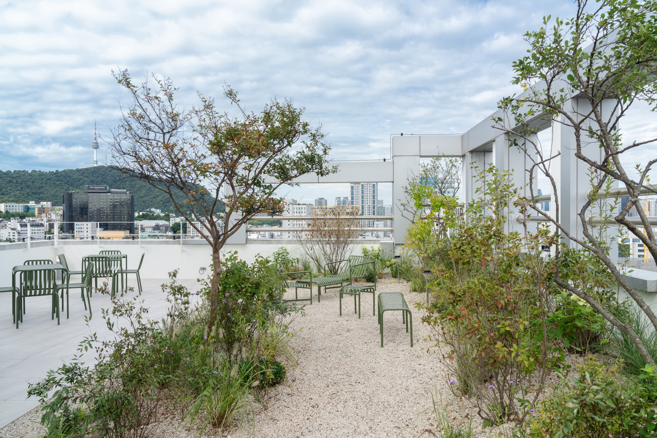 Mangrove Dongdaemun 7