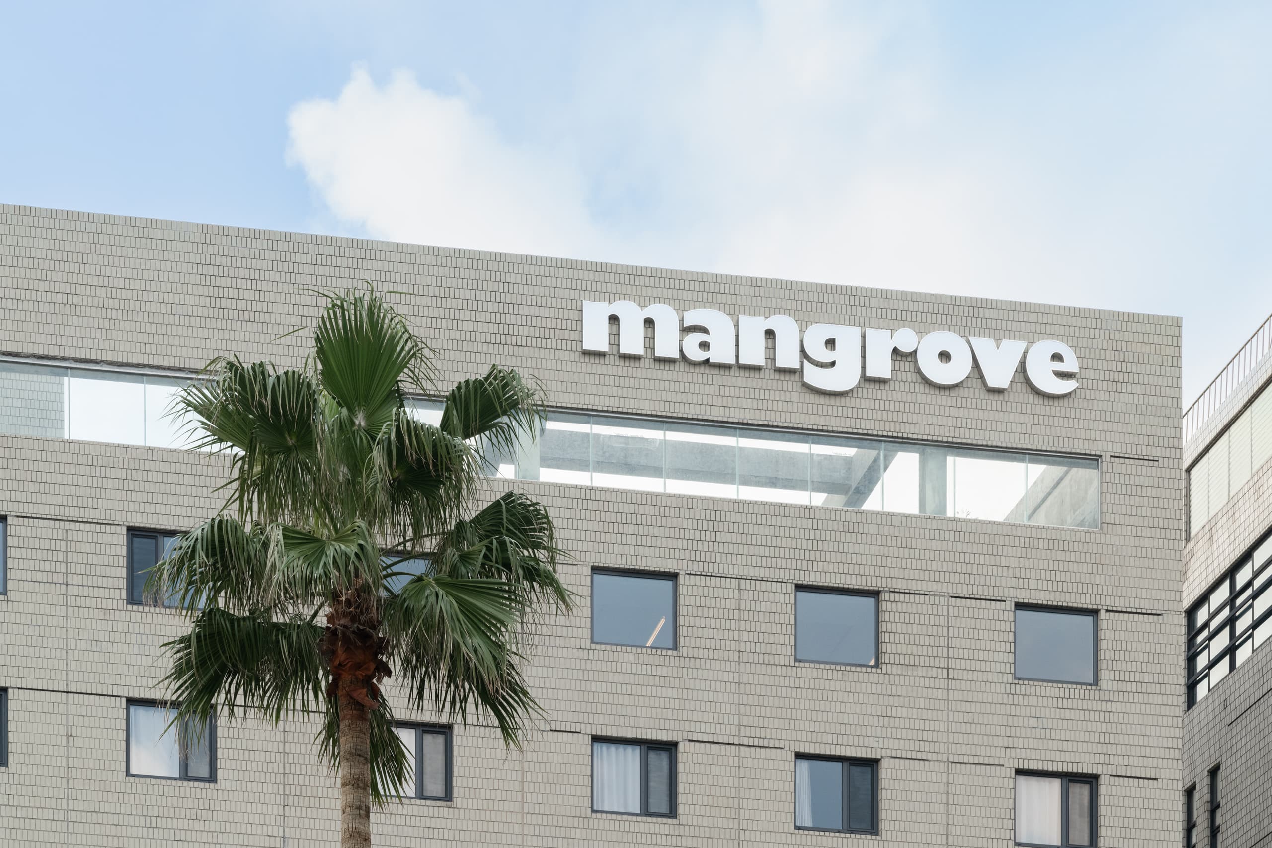 Mangrove Jeju City