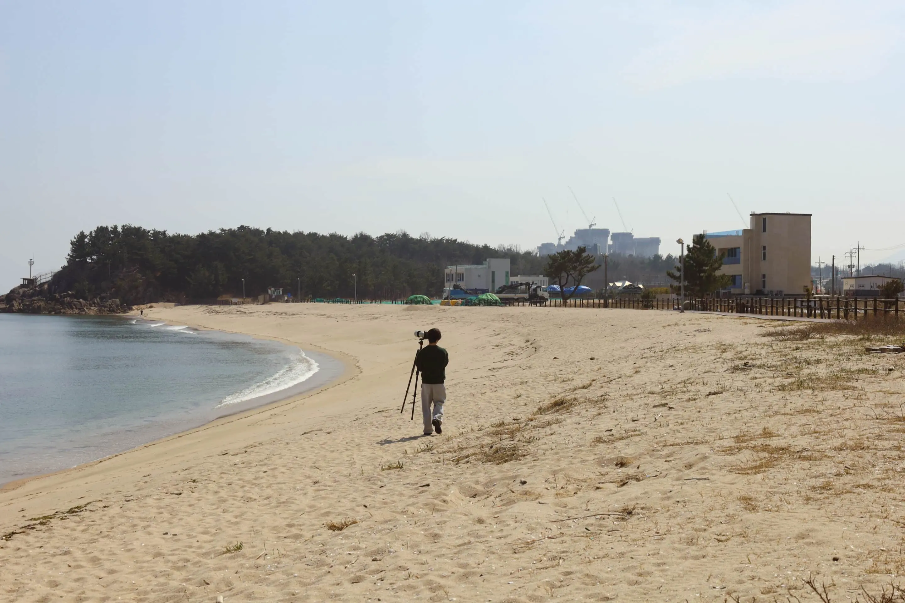 저널 커버 이미지