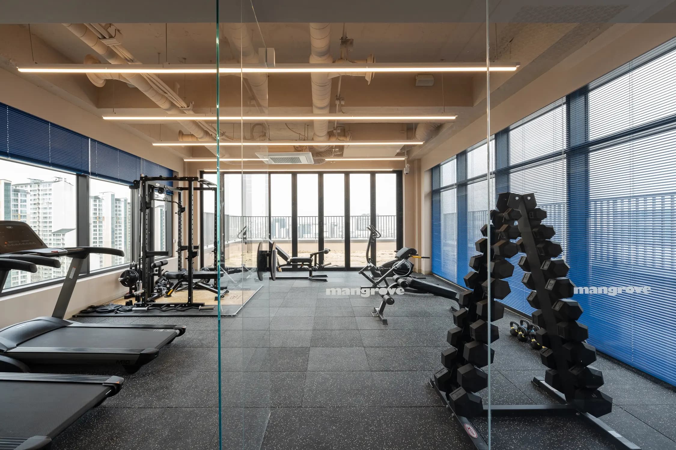 Flex Room